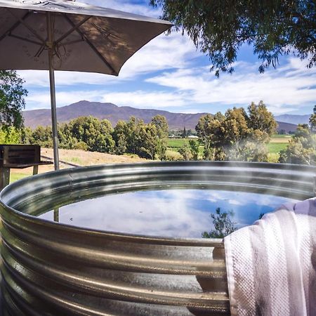 Arendsig Wine Estate & Cottages 邦尼韦尔 外观 照片