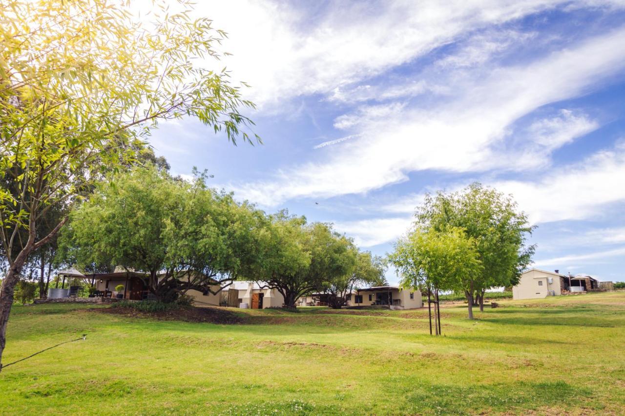 Arendsig Wine Estate & Cottages 邦尼韦尔 外观 照片