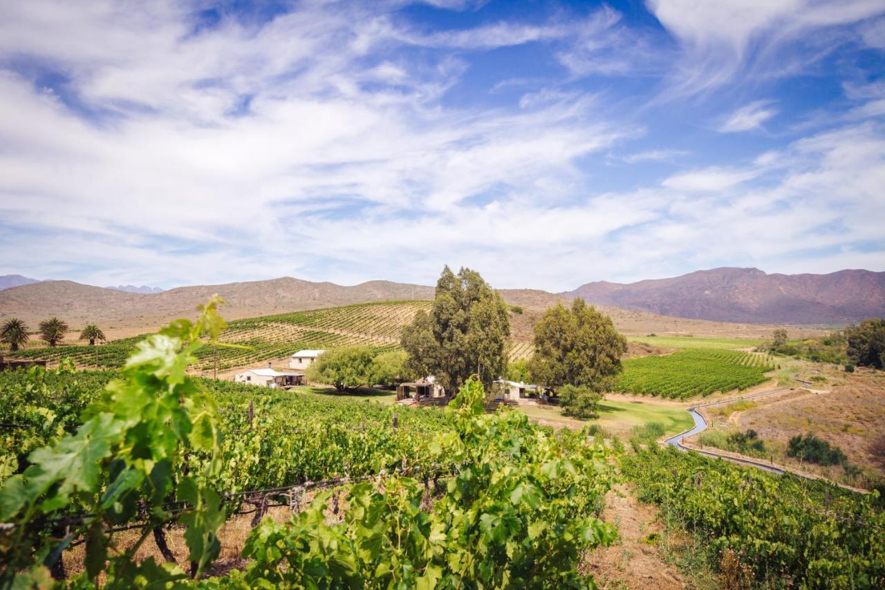Arendsig Wine Estate & Cottages 邦尼韦尔 外观 照片