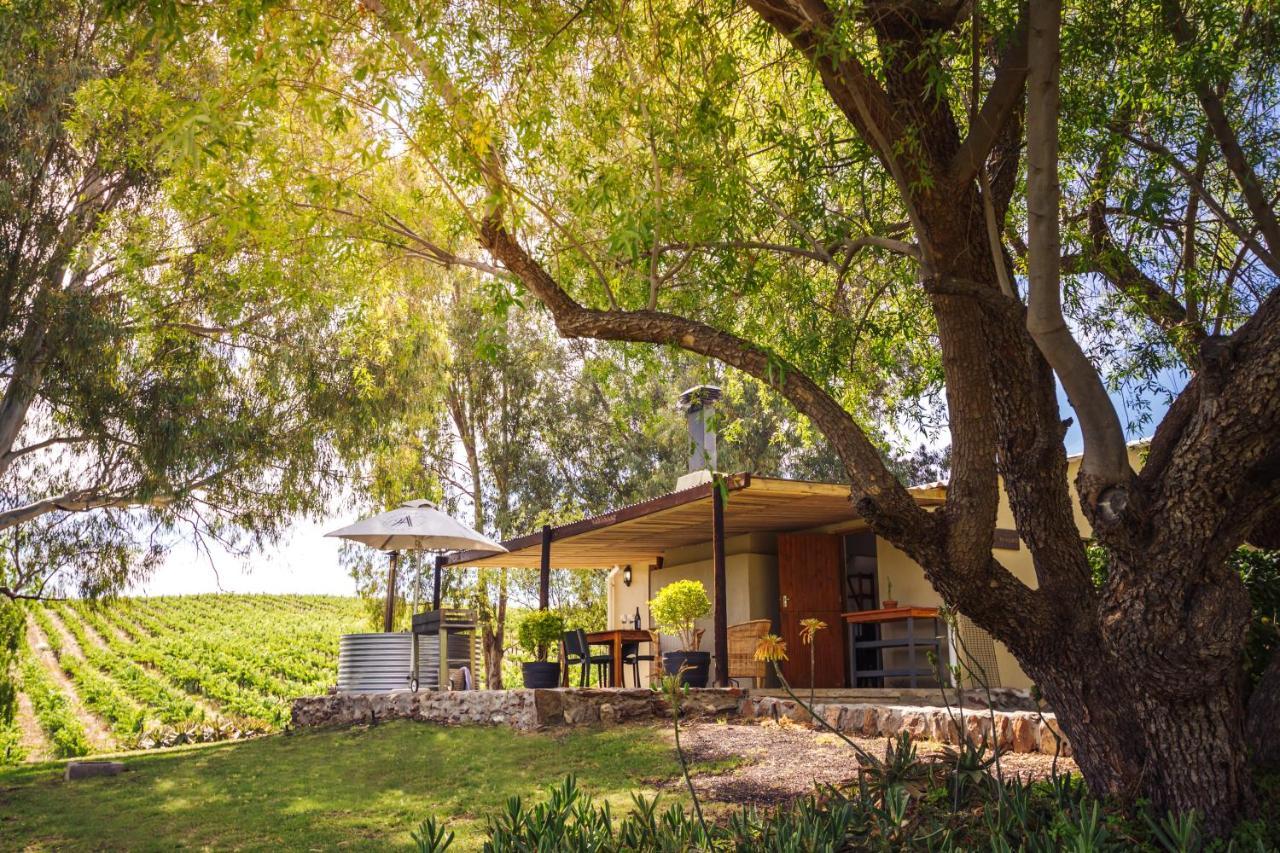 Arendsig Wine Estate & Cottages 邦尼韦尔 外观 照片