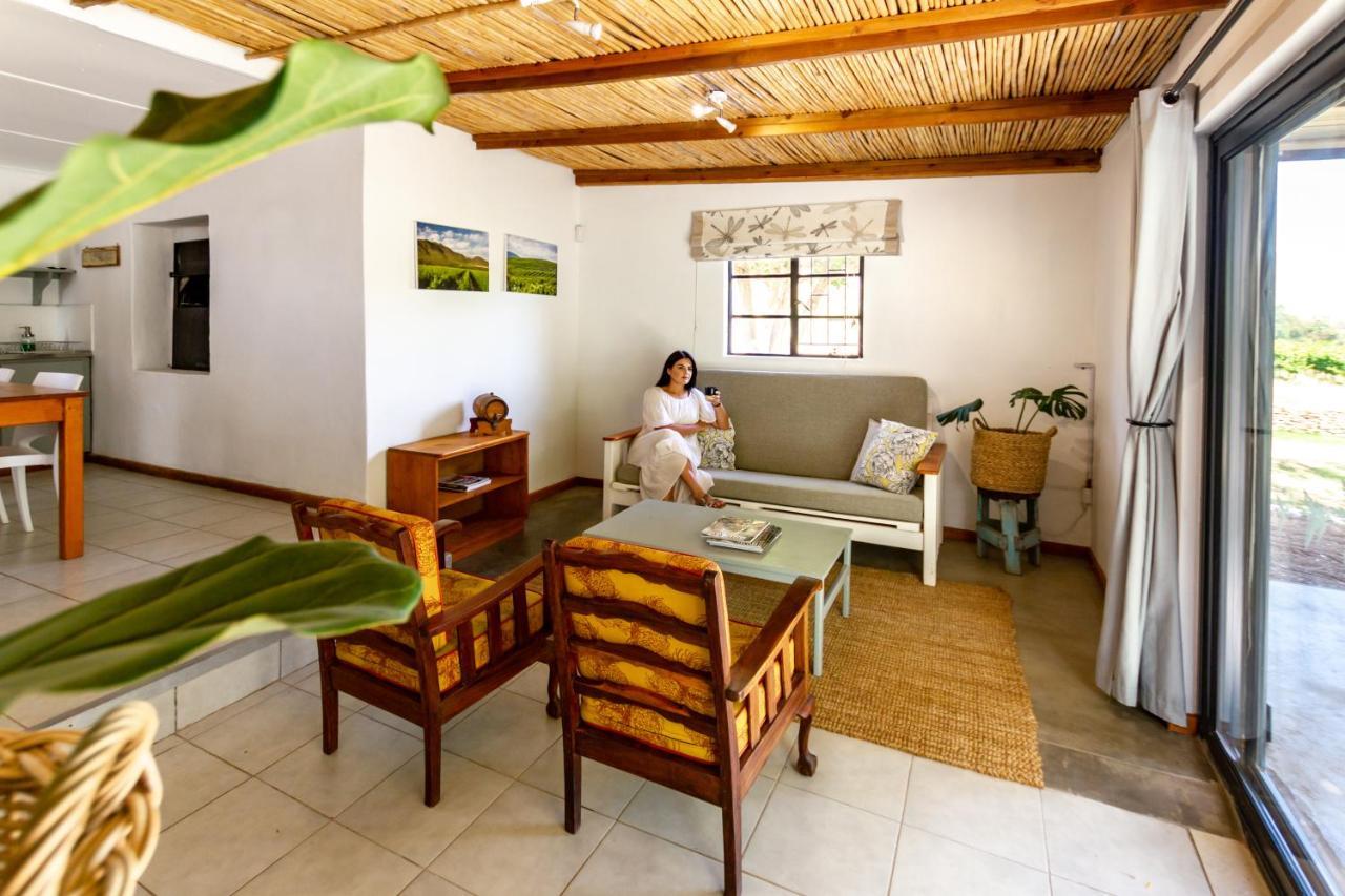 Arendsig Wine Estate & Cottages 邦尼韦尔 外观 照片