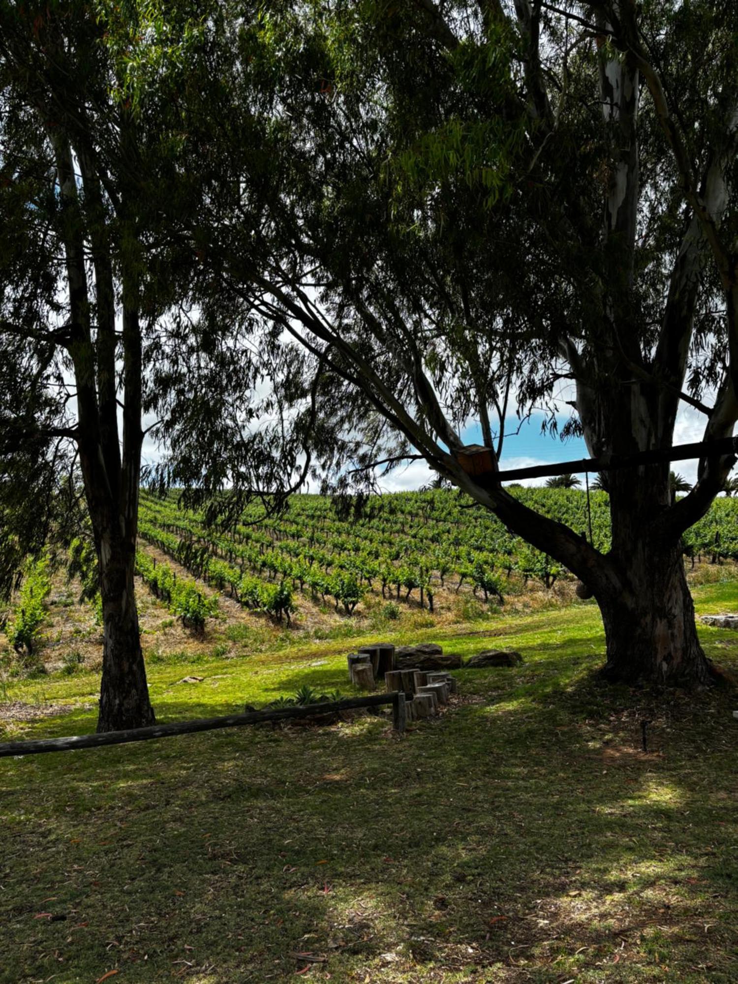 Arendsig Wine Estate & Cottages 邦尼韦尔 外观 照片